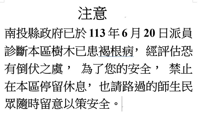 危險樹木說明